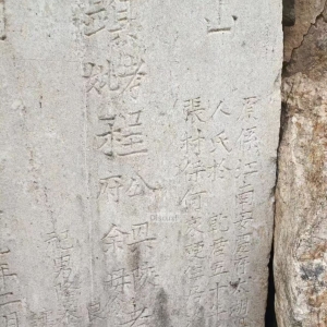 请输入相册名称
