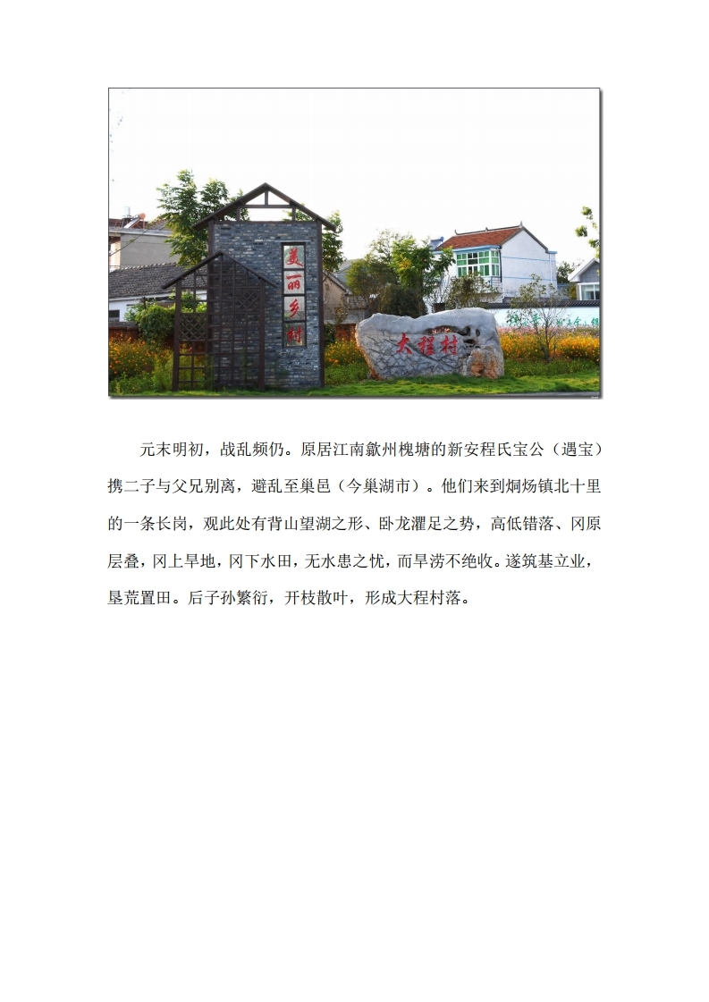 美丽乡村之大程.pdf_page_02.jpg