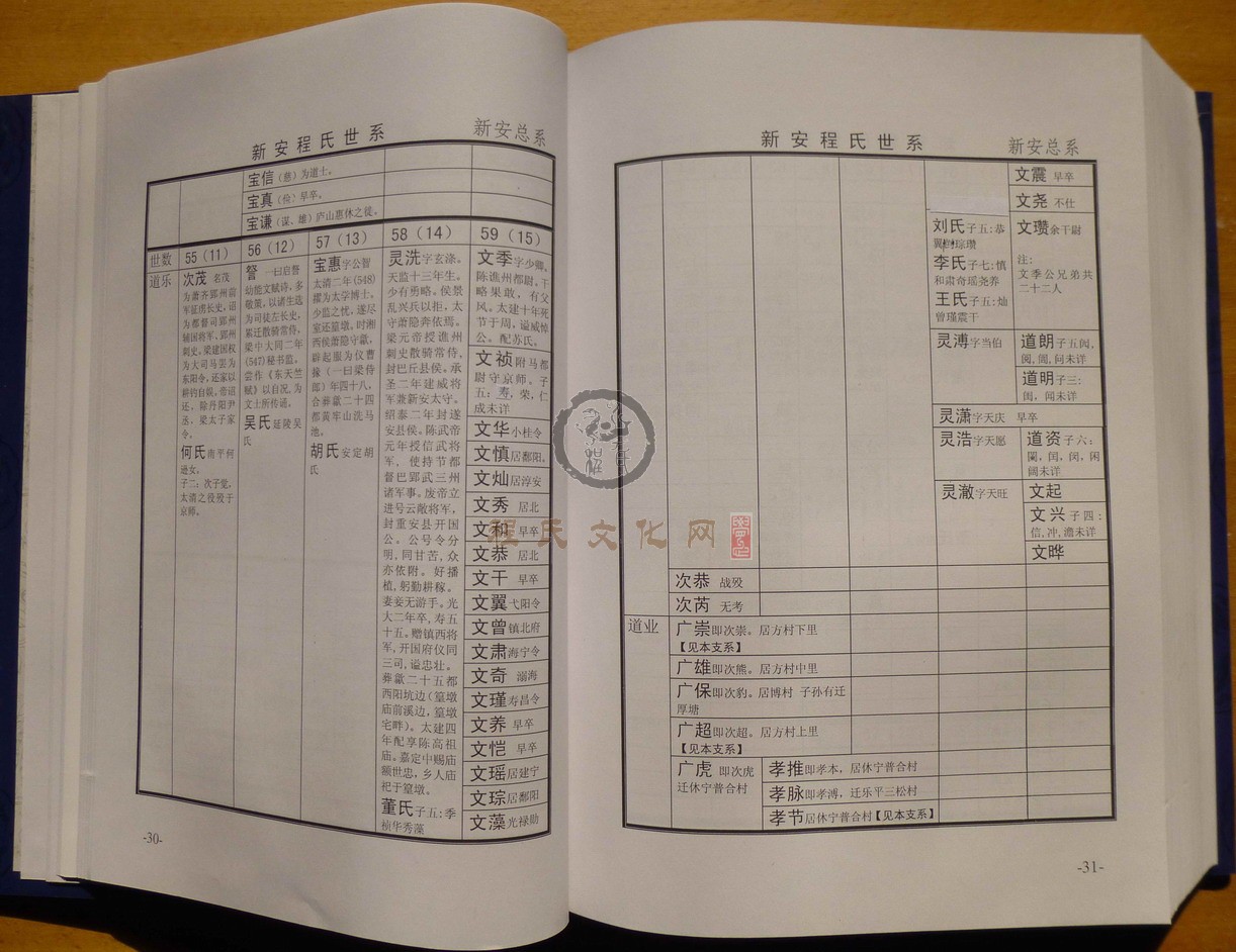 新安程氏世系 (053).JPG