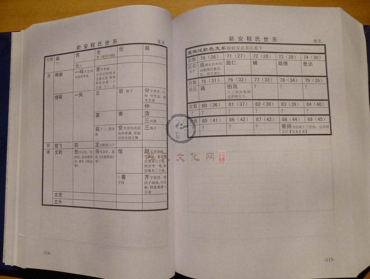 新安程氏世系 (095).JPG