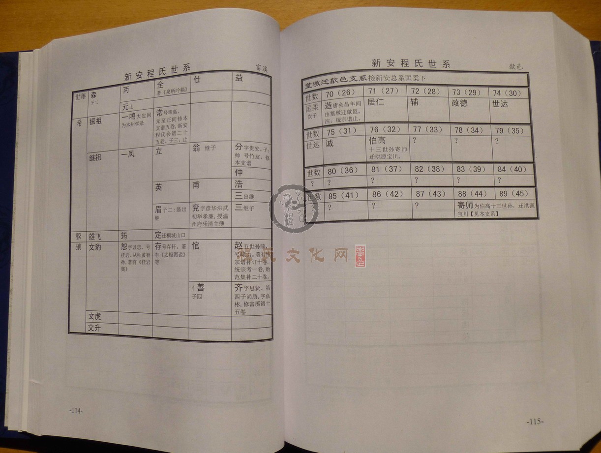 新安程氏世系 (095).JPG