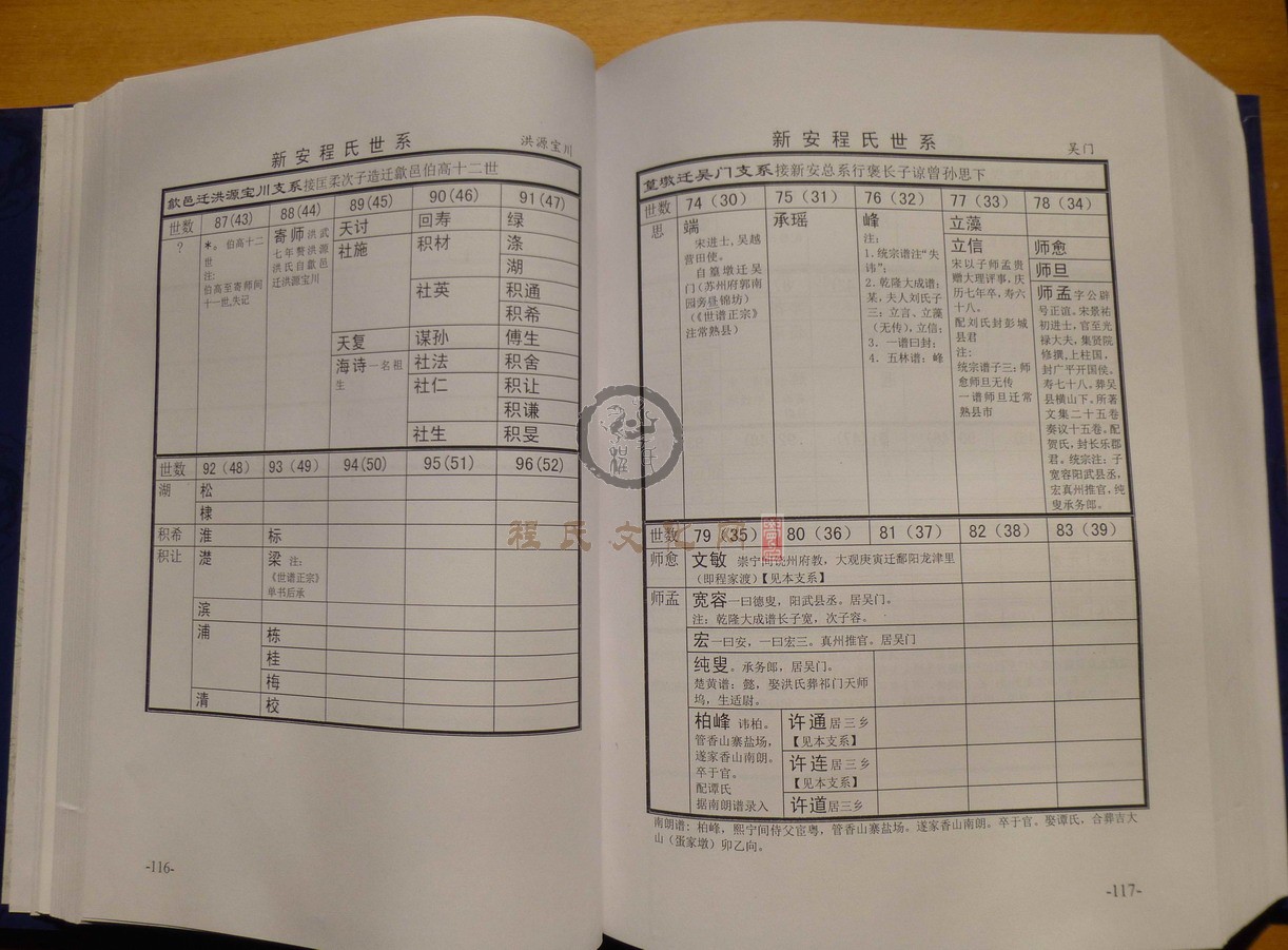 新安程氏世系 (096).JPG