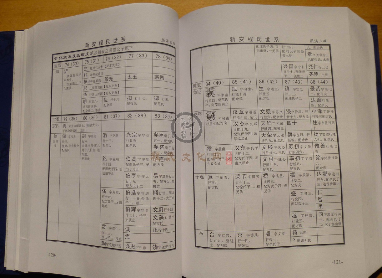 新安程氏世系 (098).JPG