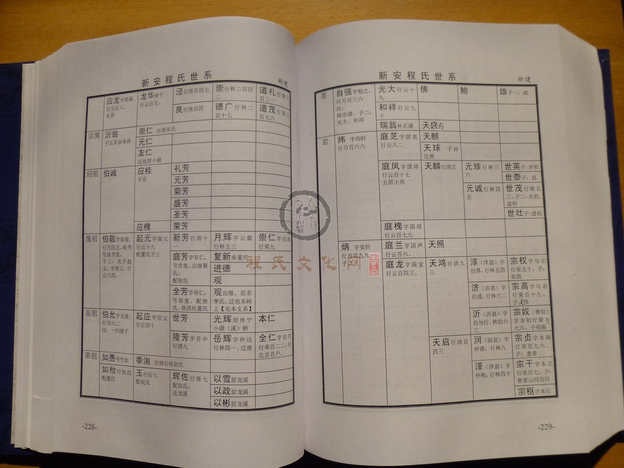 新安程氏世系 (152).JPG