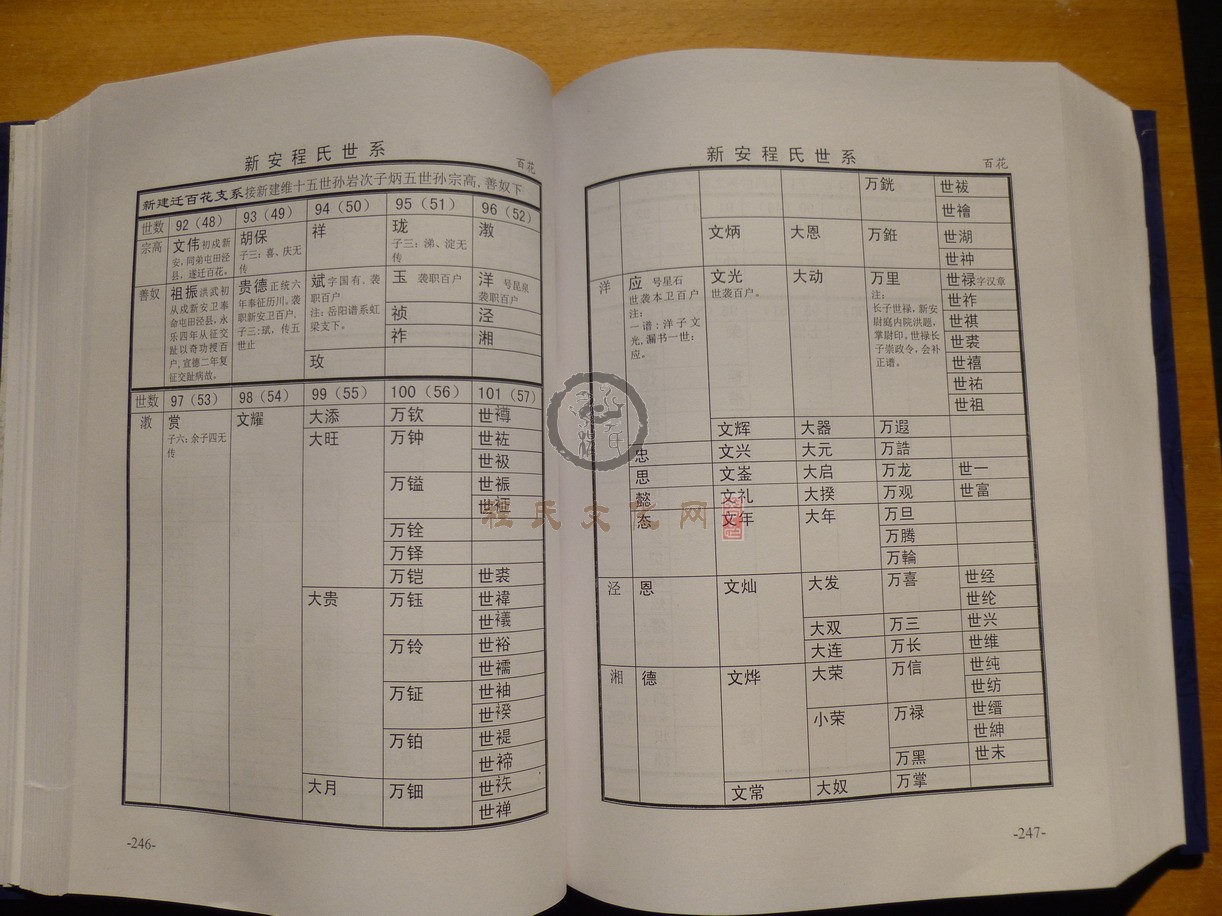 新安程氏世系 (161).JPG