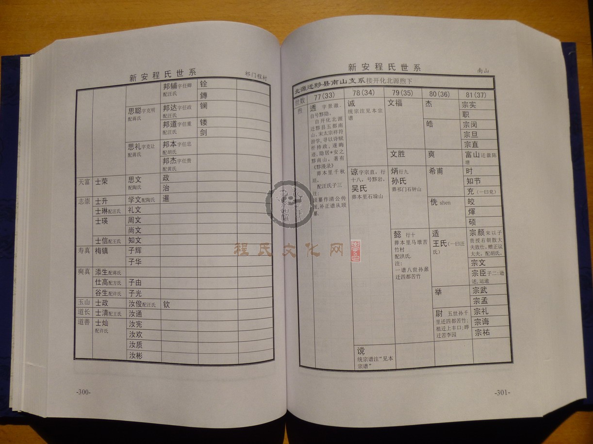 新安程氏世系 (188).JPG