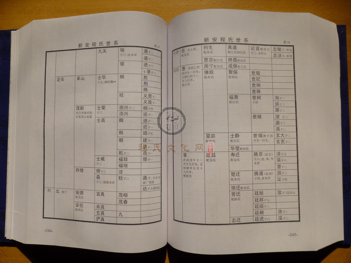 新安程氏世系 (210).JPG