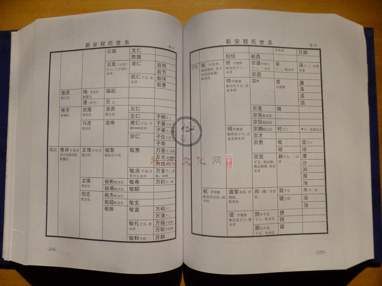 新安程氏世系 (215).JPG