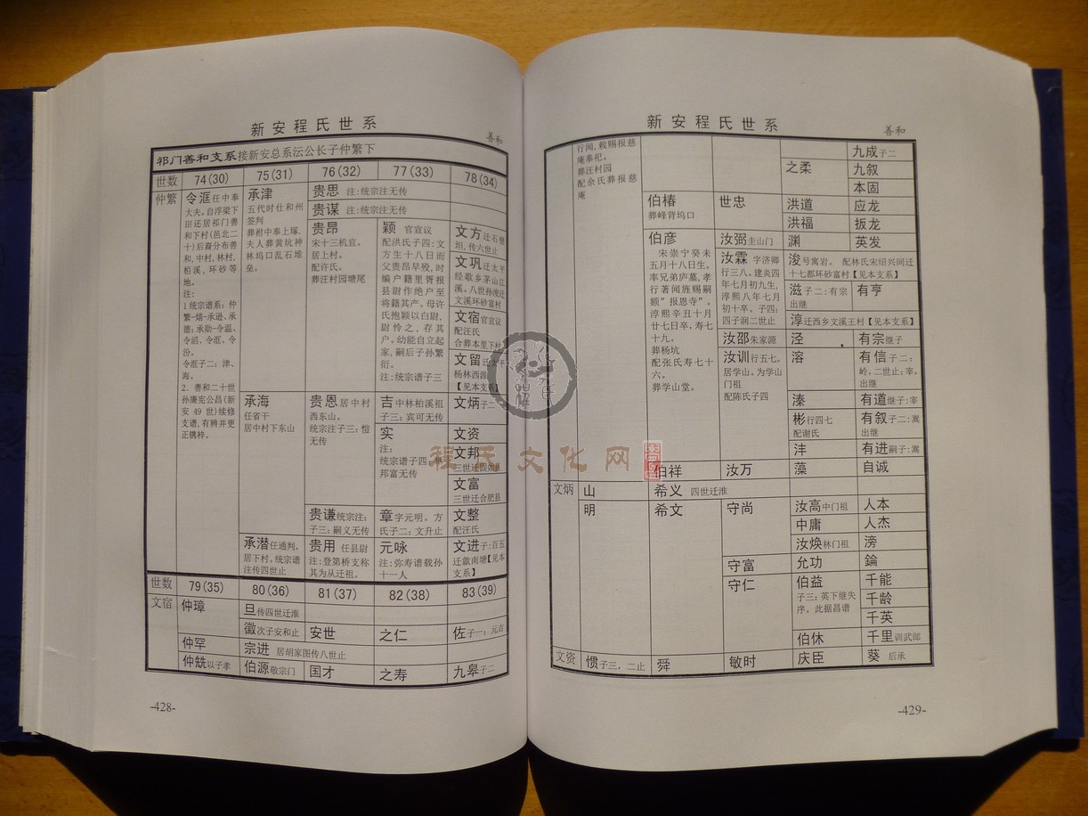 新安程氏世系 (253).JPG