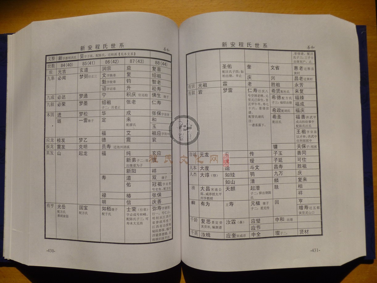 新安程氏世系 (254).JPG