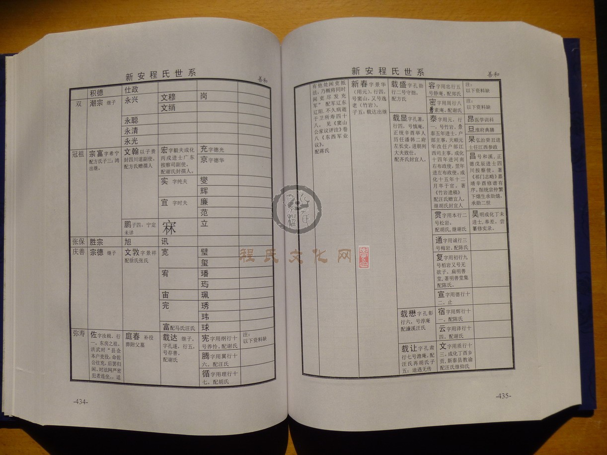 新安程氏世系 (256).JPG