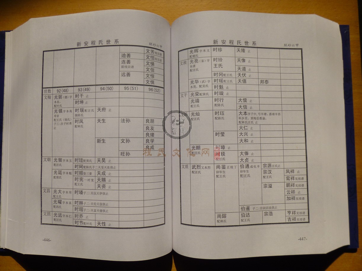 新安程氏世系 (262).JPG