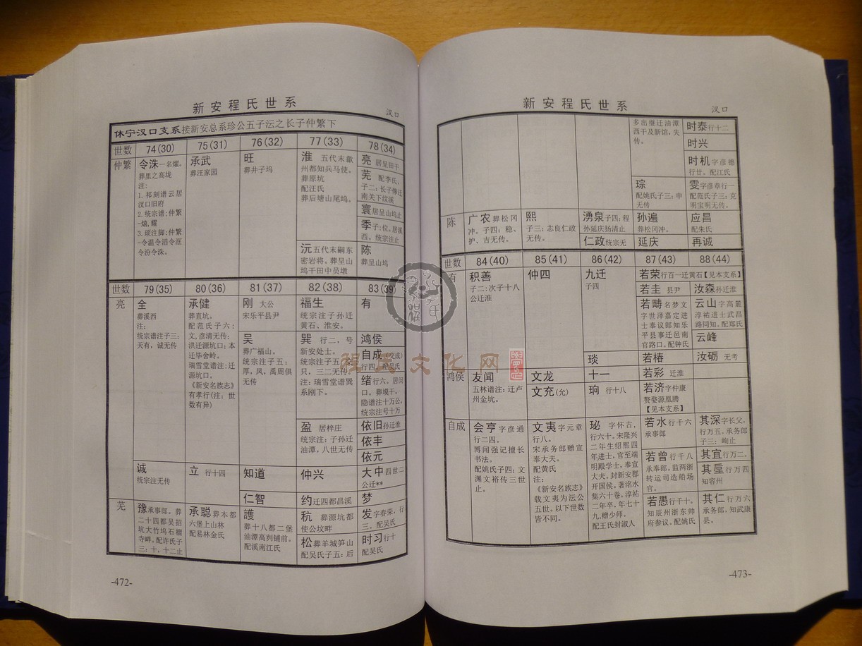 新安程氏世系 (275).JPG