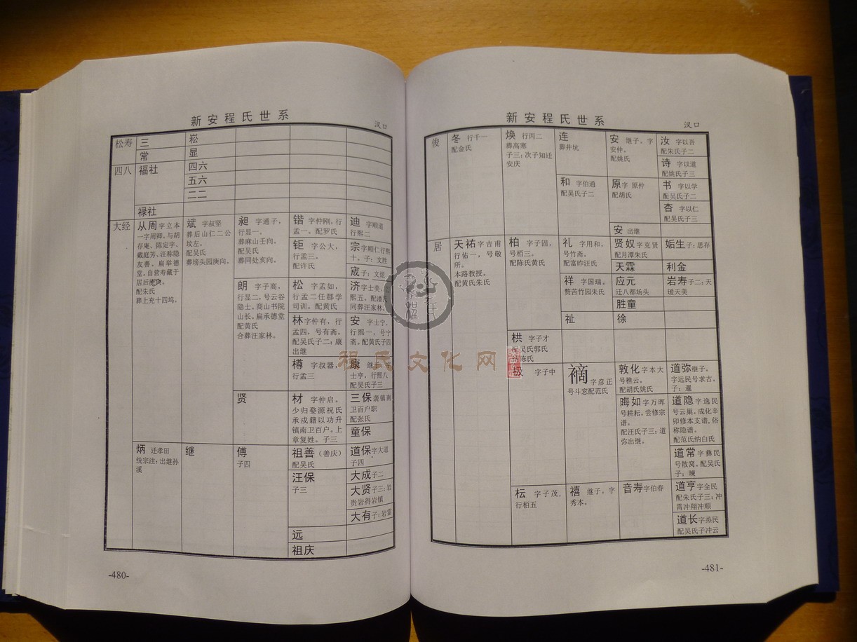 新安程氏世系 (279).JPG