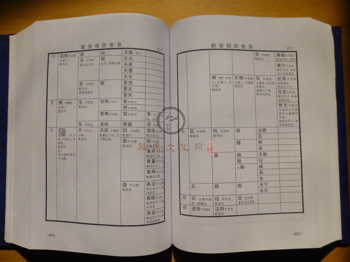 新安程氏世系 (281).JPG