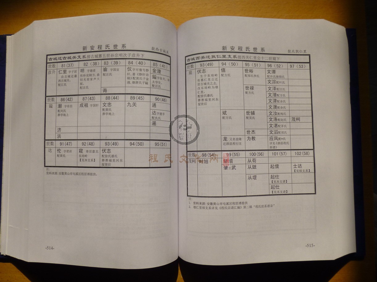 新安程氏世系 (296).JPG