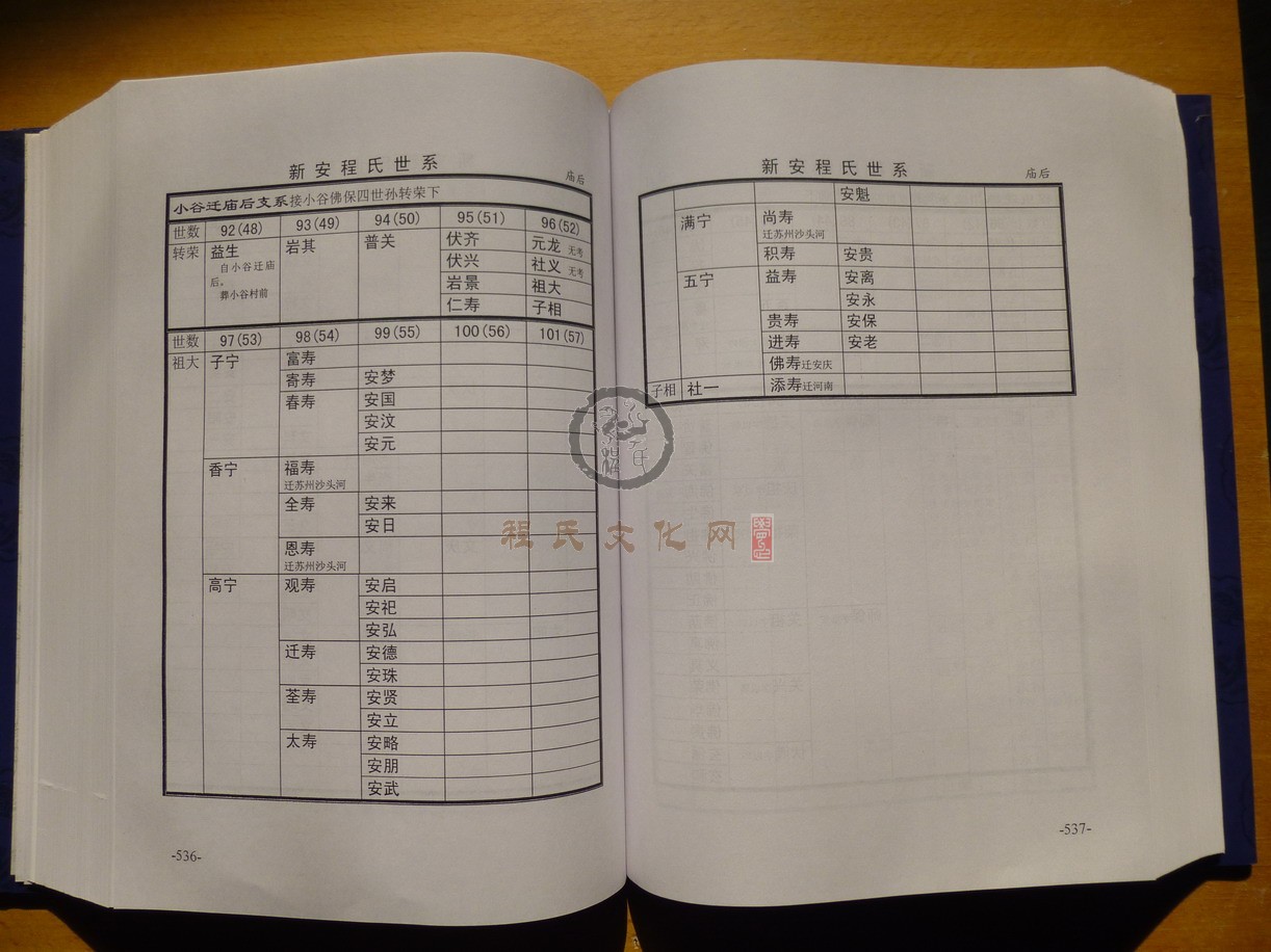 新安程氏世系 (308).JPG