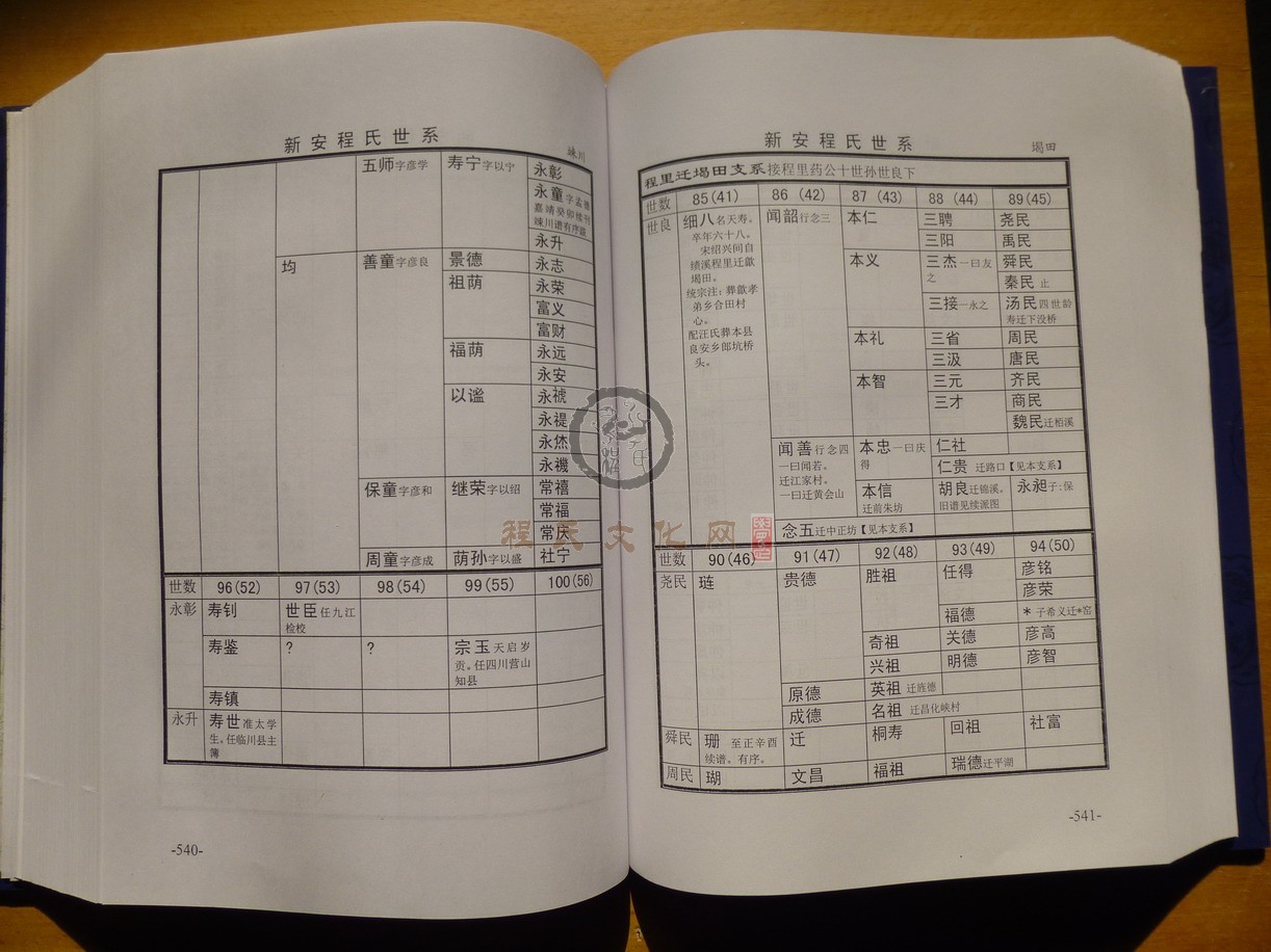 新安程氏世系 (310).JPG