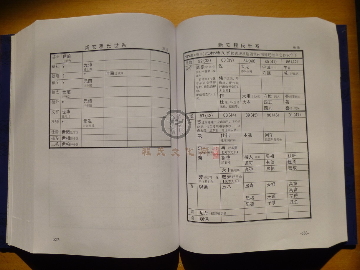 新安程氏世系 (331).JPG