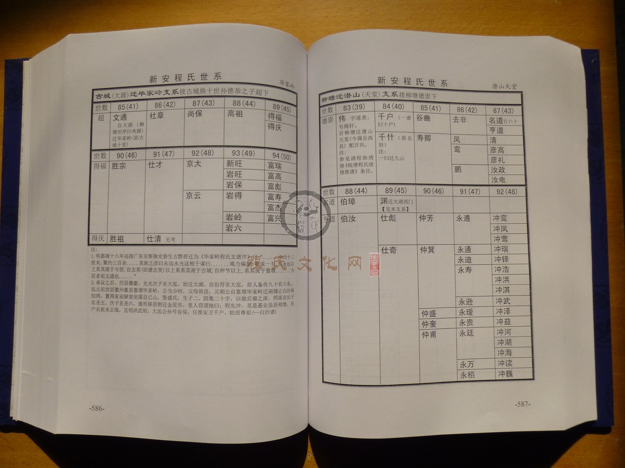 新安程氏世系 (333).JPG