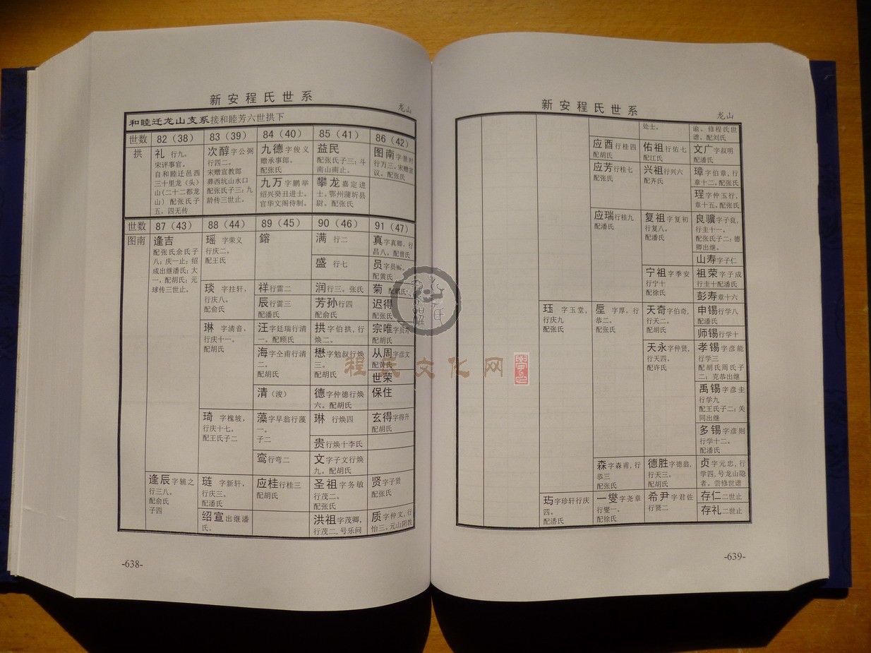 新安程氏世系 (359).JPG