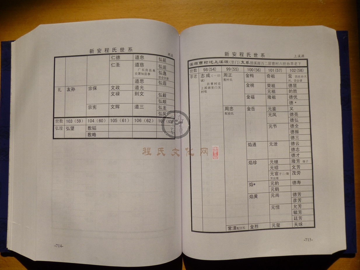 新安程氏世系 (397).JPG