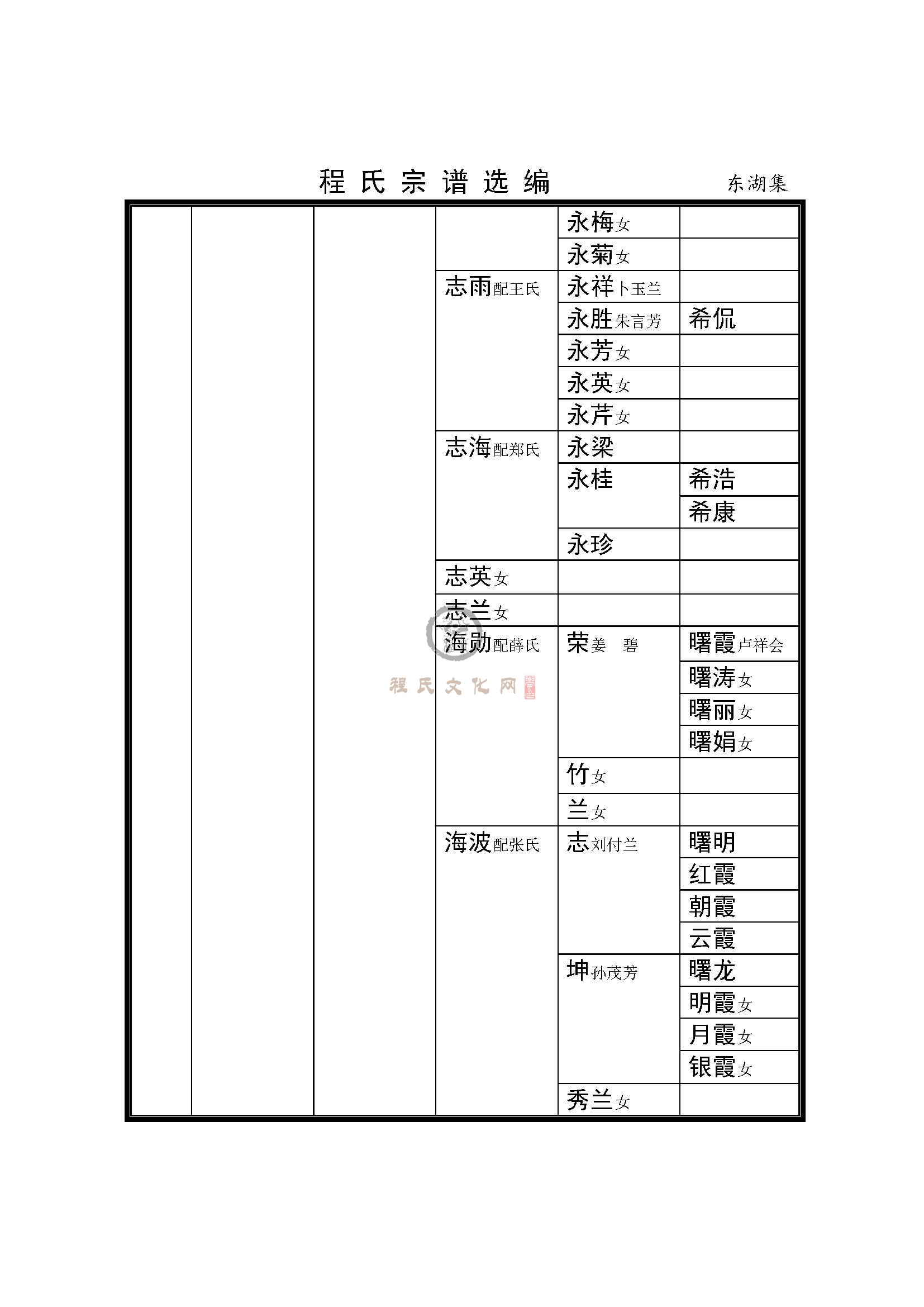 涟水东湖集支系 (4).jpg