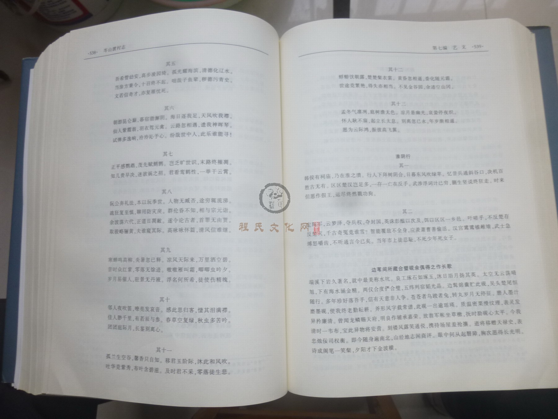 岑山渡村志2 (110).JPG