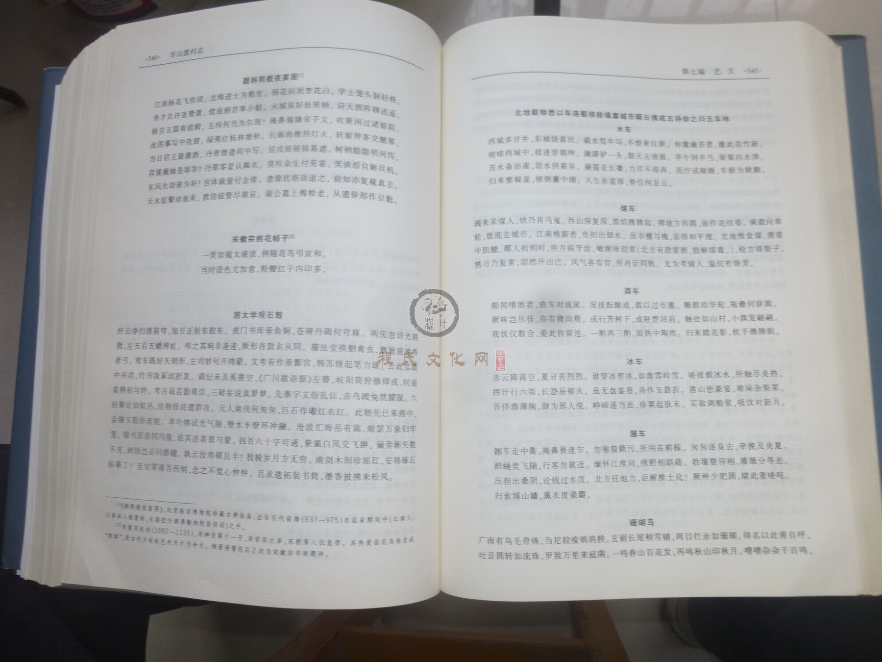 岑山渡村志2 (111).JPG