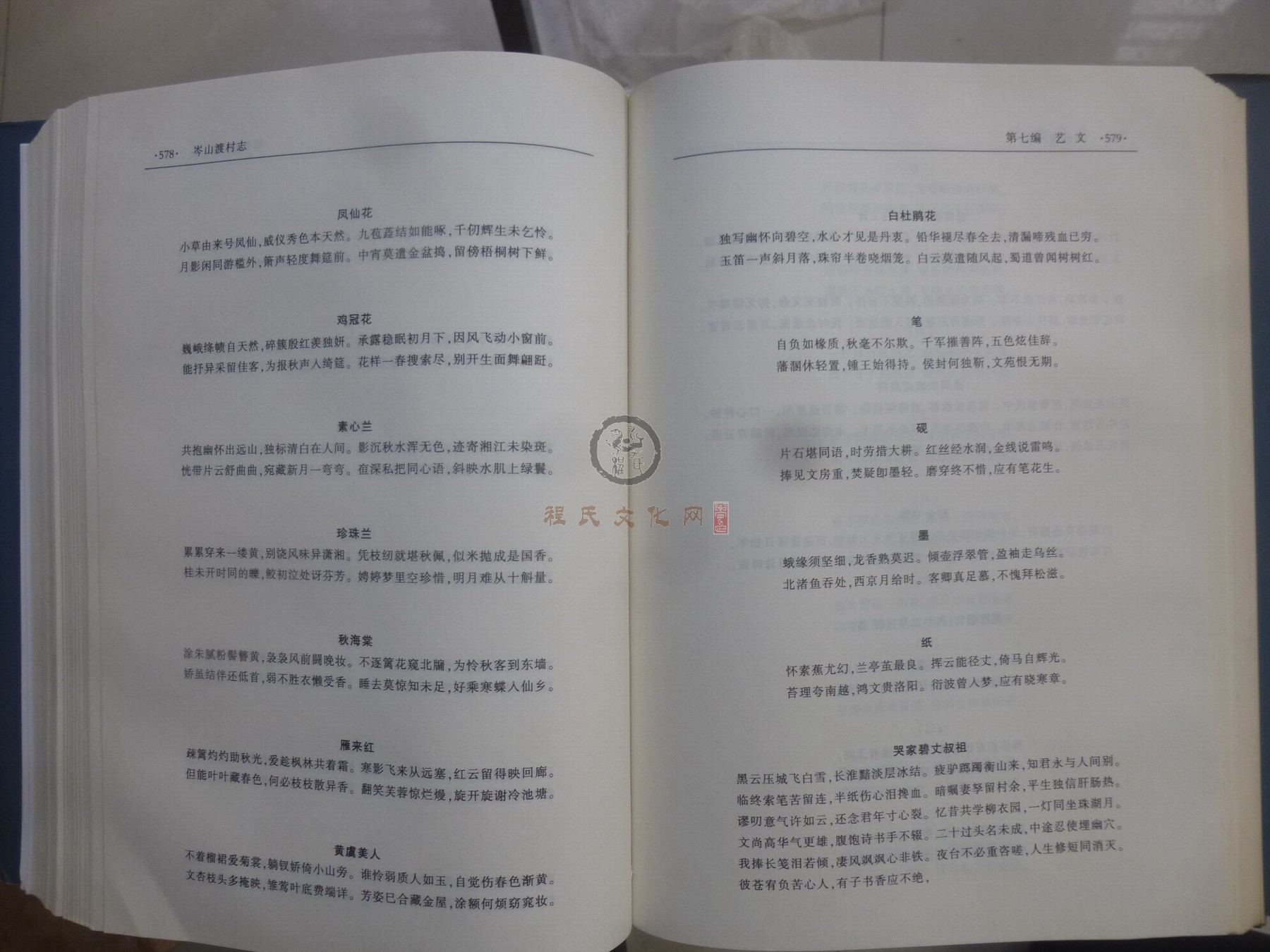 岑山渡村志2 (116)X.JPG
