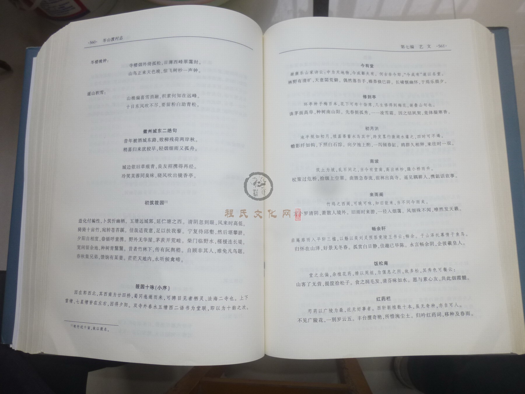 岑山渡村志2 (121).JPG