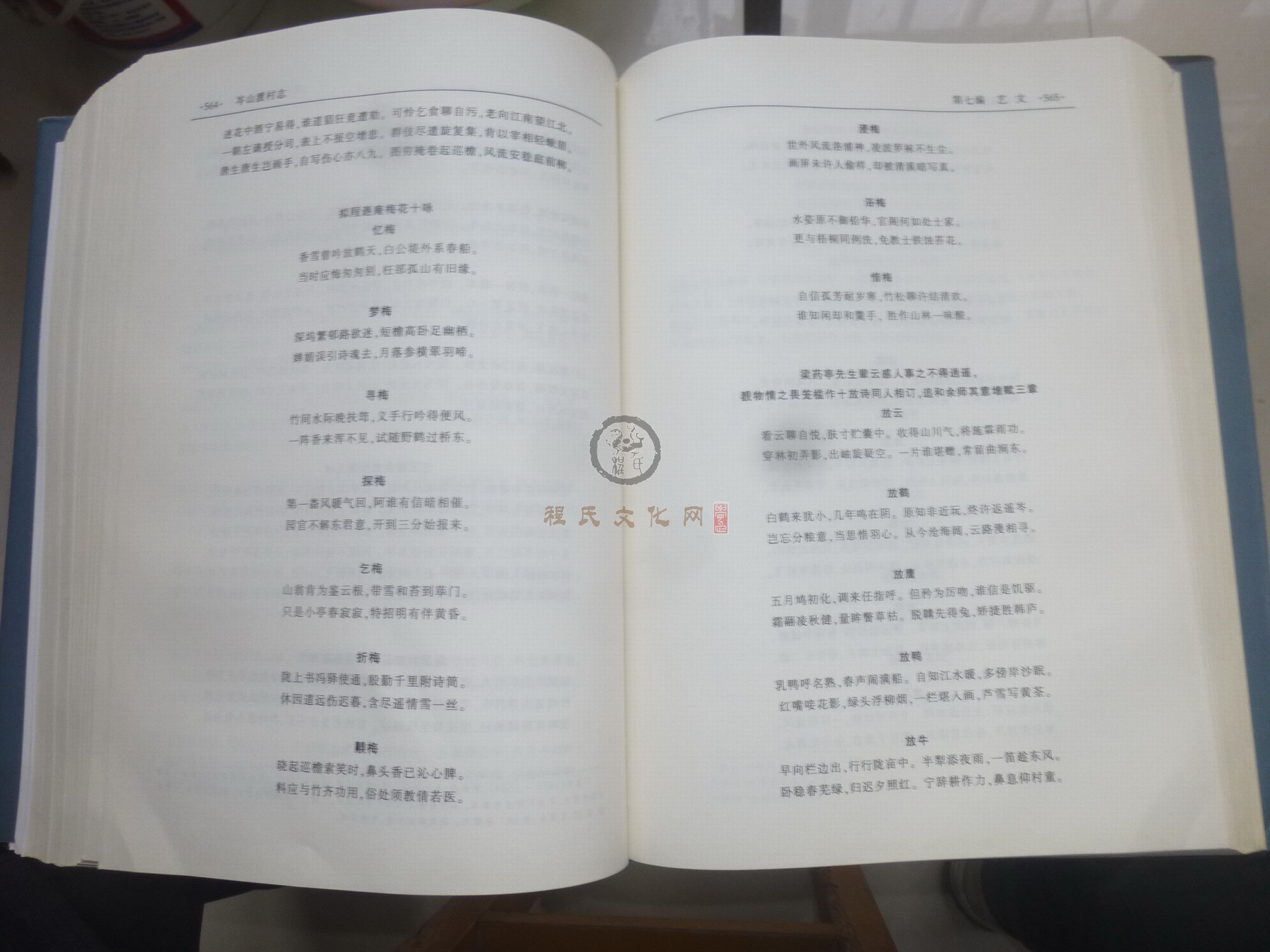 岑山渡村志2 (123).JPG