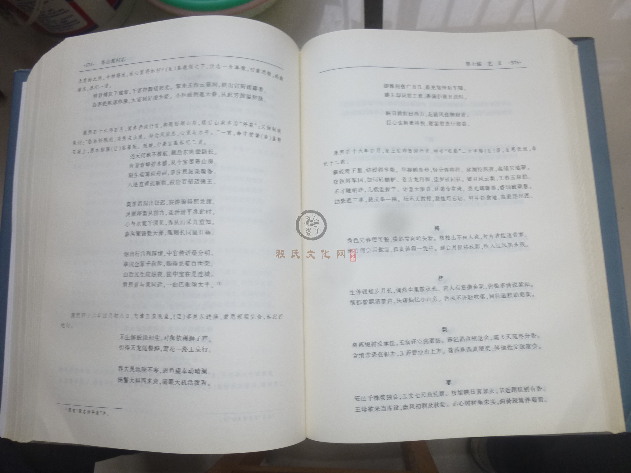 岑山渡村志2 (128).JPG