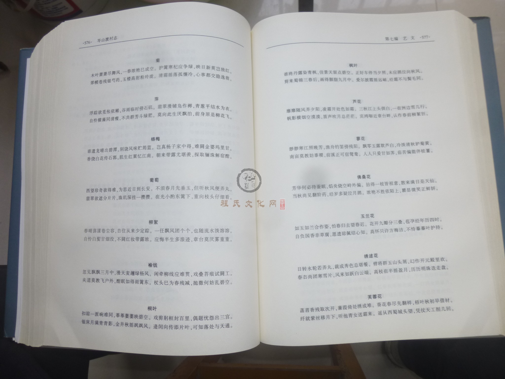 岑山渡村志2 (129).JPG