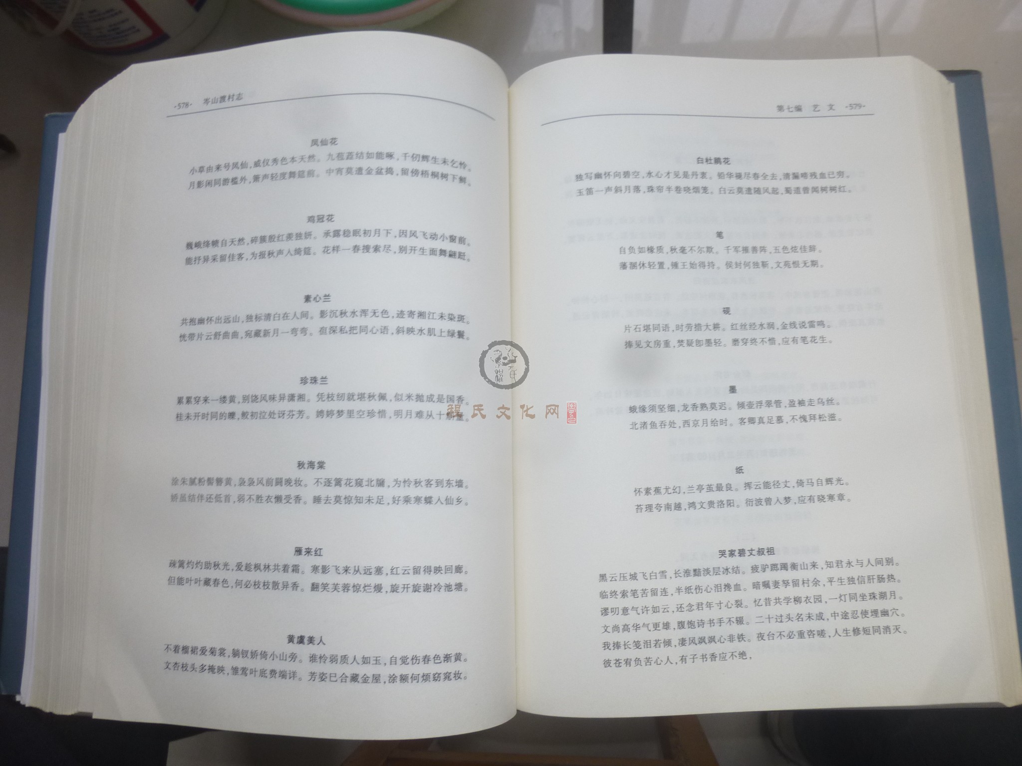 岑山渡村志2 (130).JPG