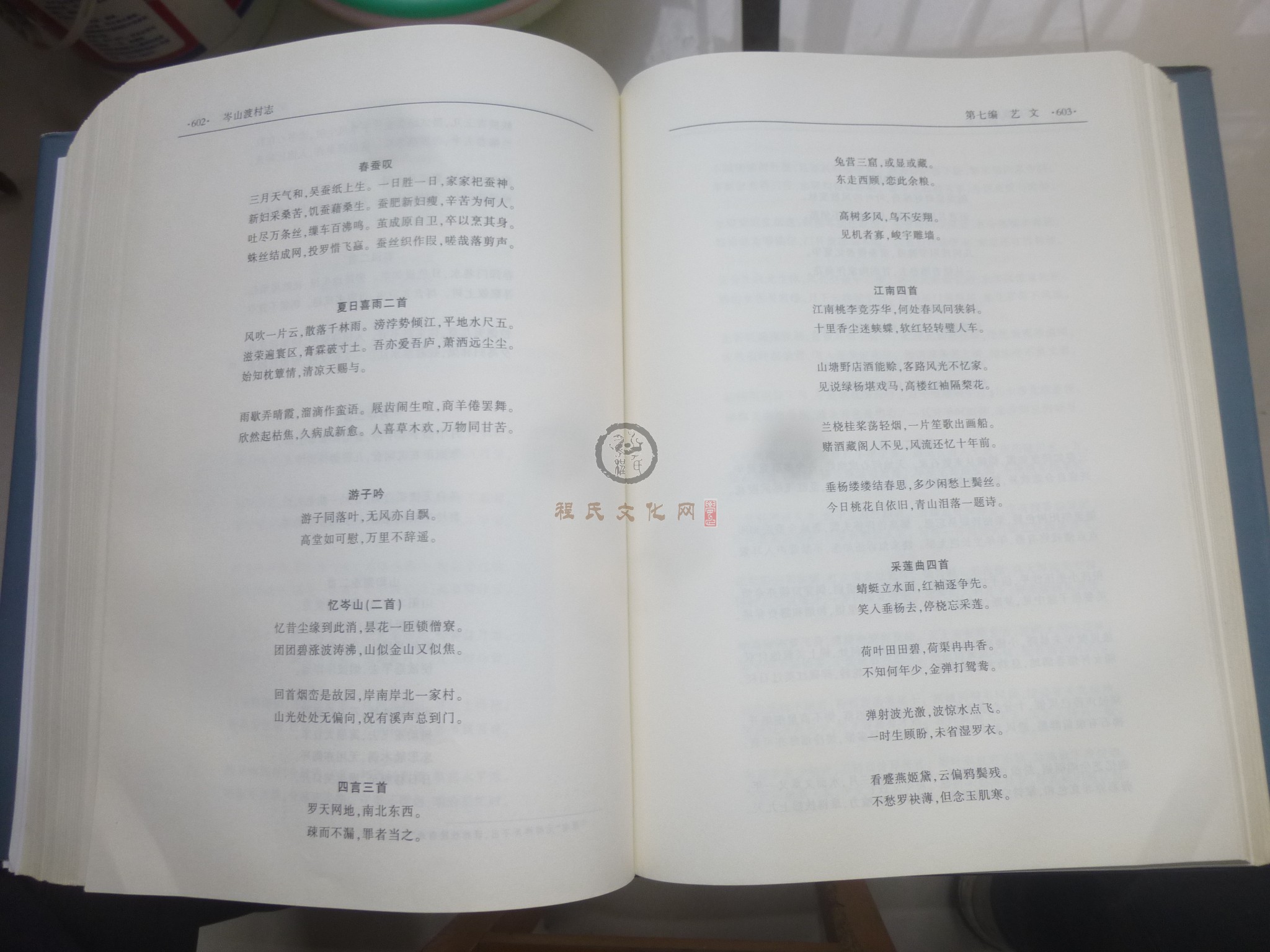 岑山渡村志2 (142).JPG