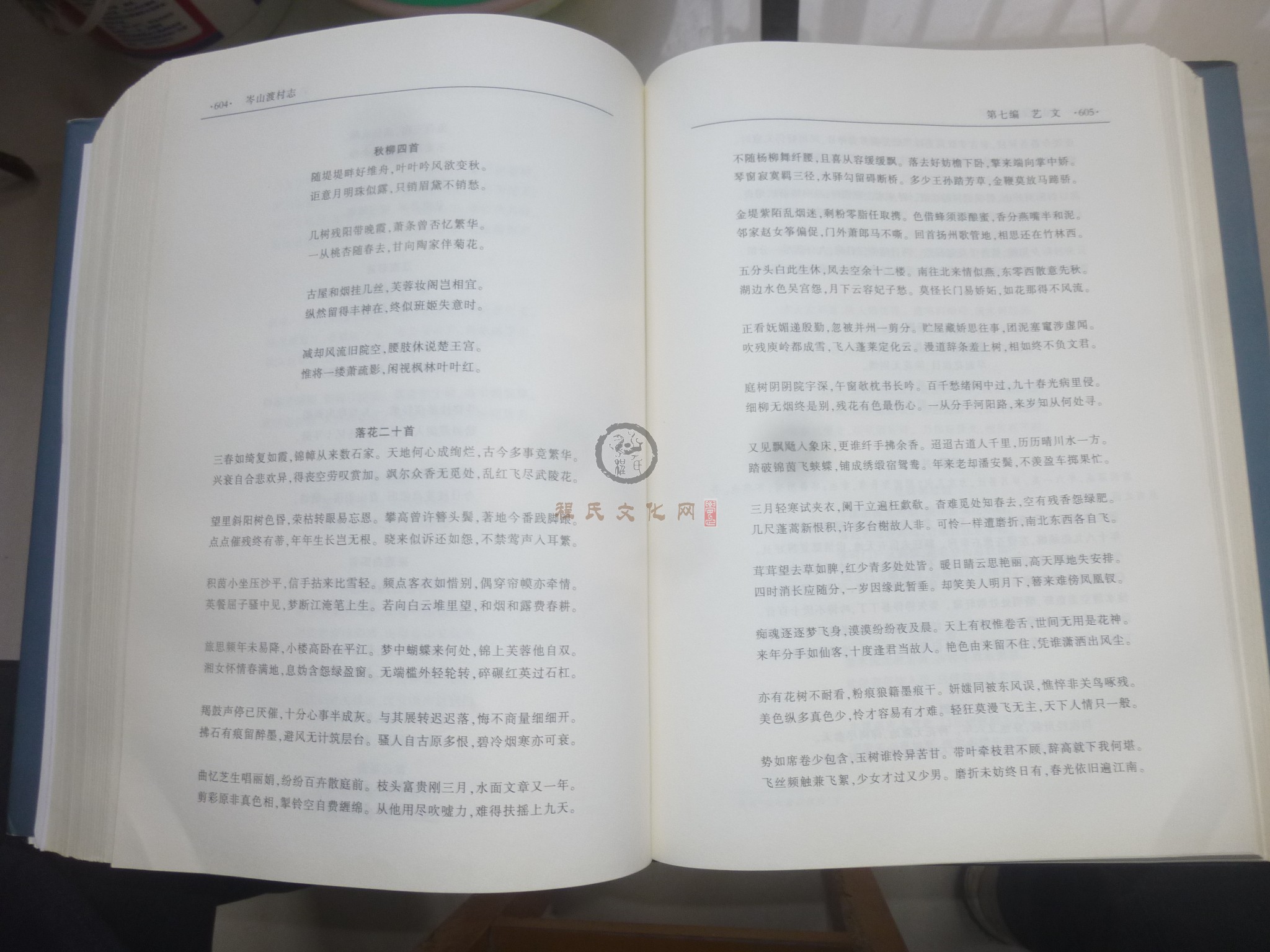 岑山渡村志2 (143).JPG