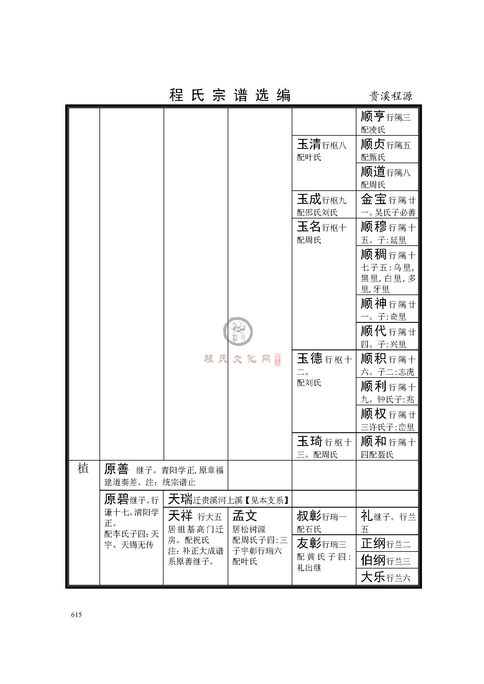 贵溪程源支系 (5).jpg