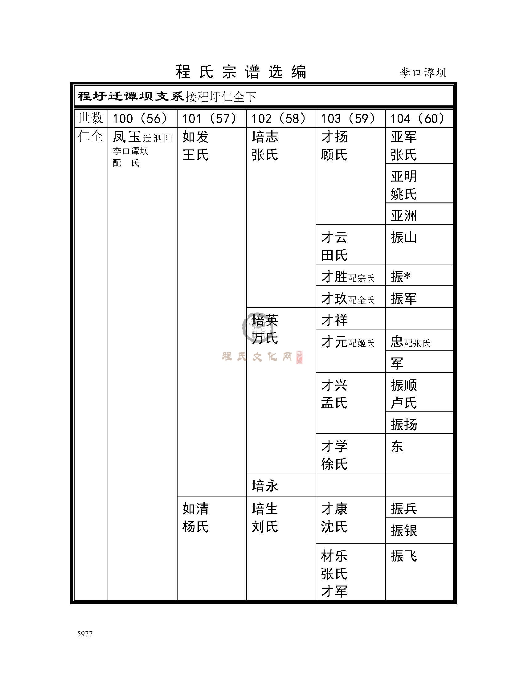 李口谭坝支系 (1).jpg