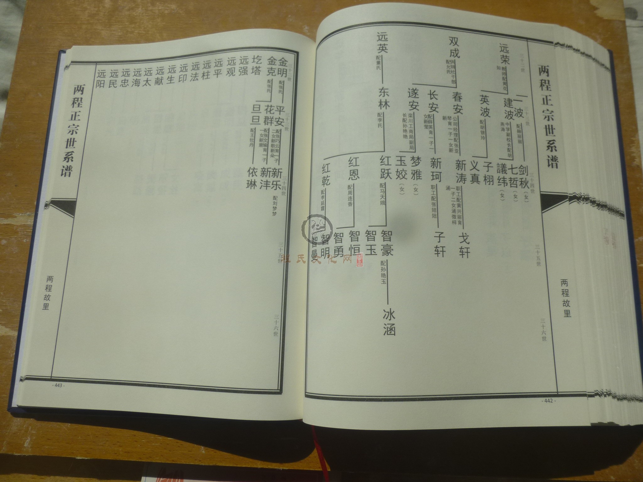两程正宗世系谱 (245).JPG