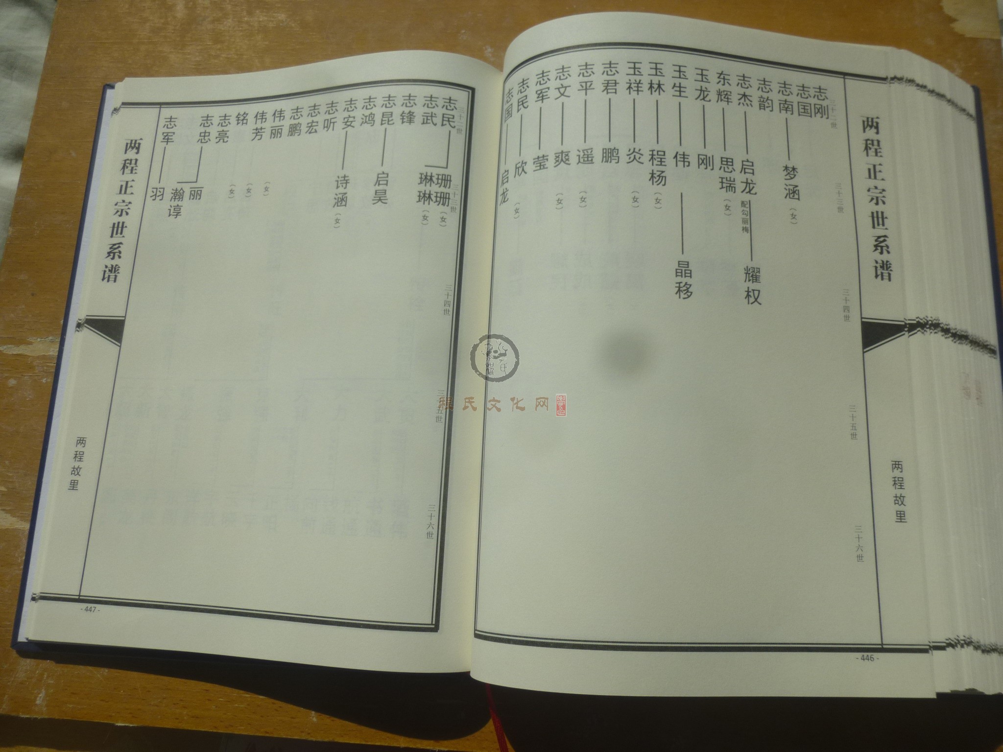 两程正宗世系谱 (247).JPG