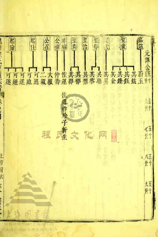 137.jpg