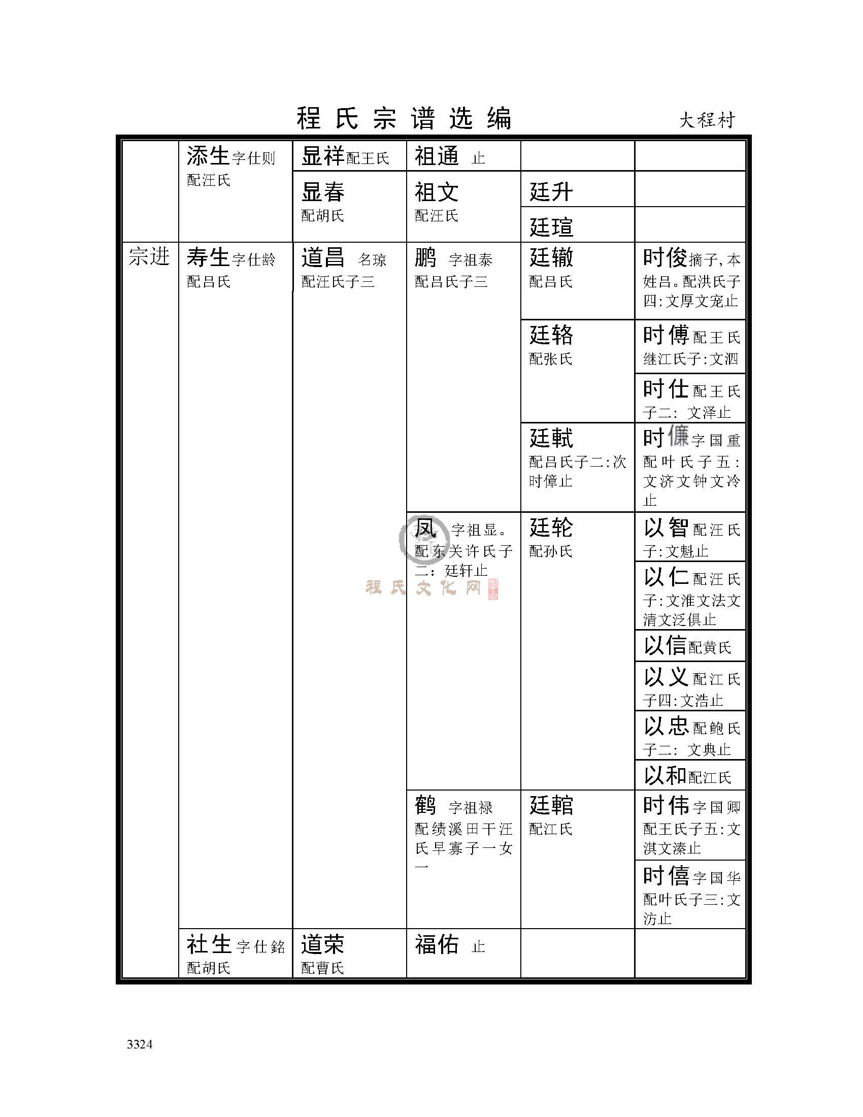 大程村支系 (5).jpg