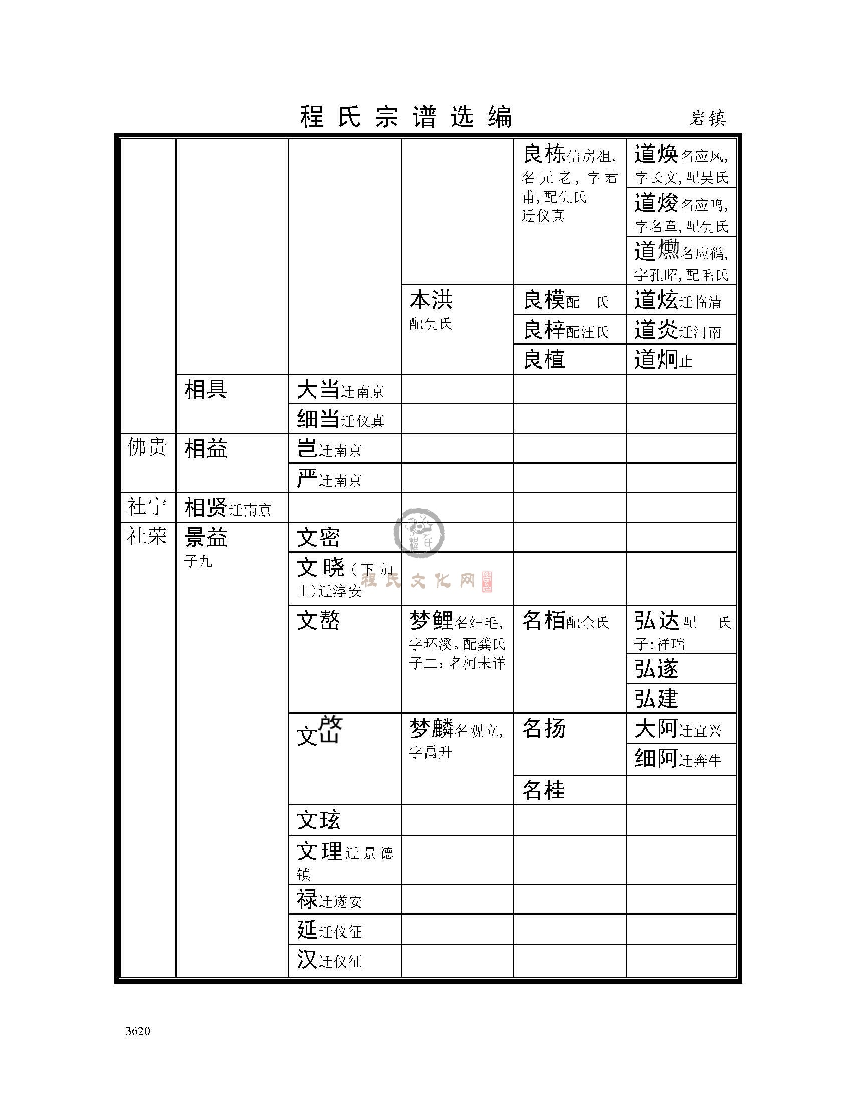 岩镇支系 (2).jpg