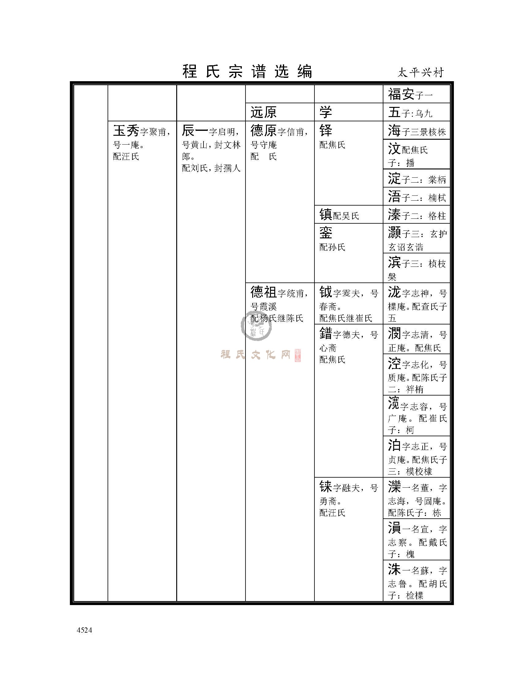 太平兴村支系 (4).jpg