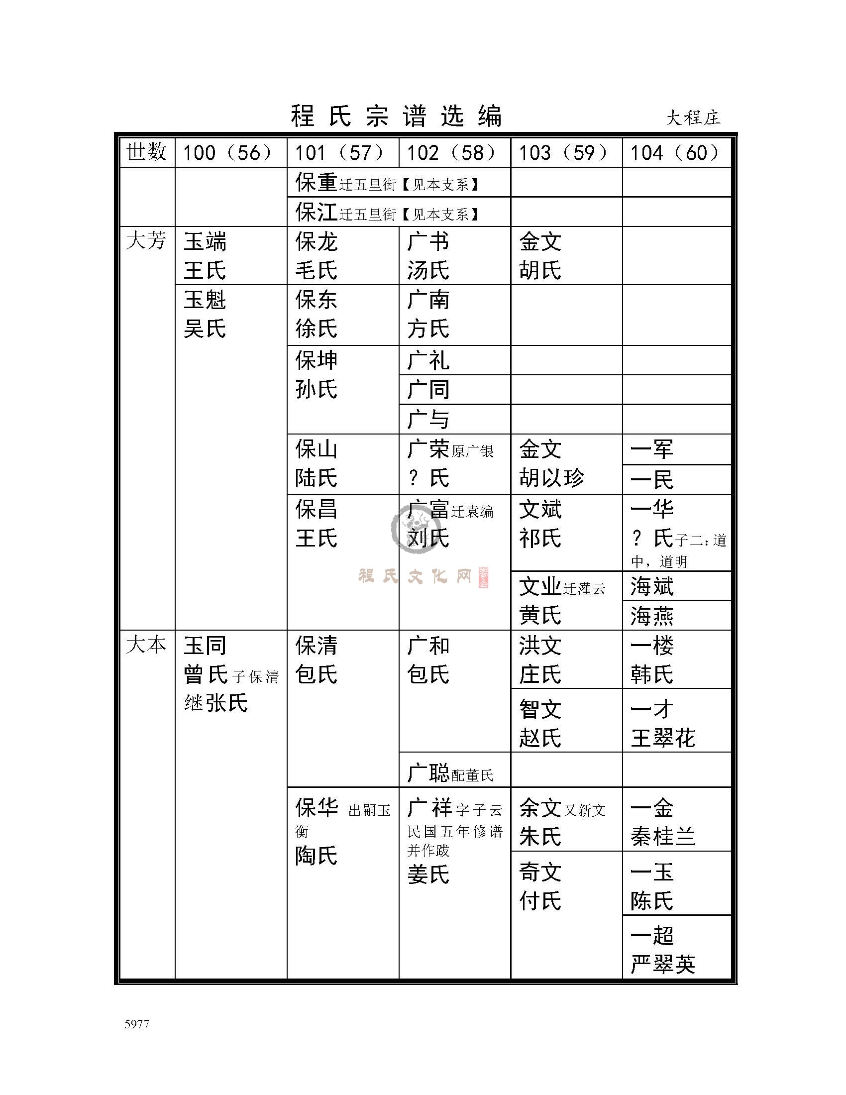 大程庄支系 (4).jpg