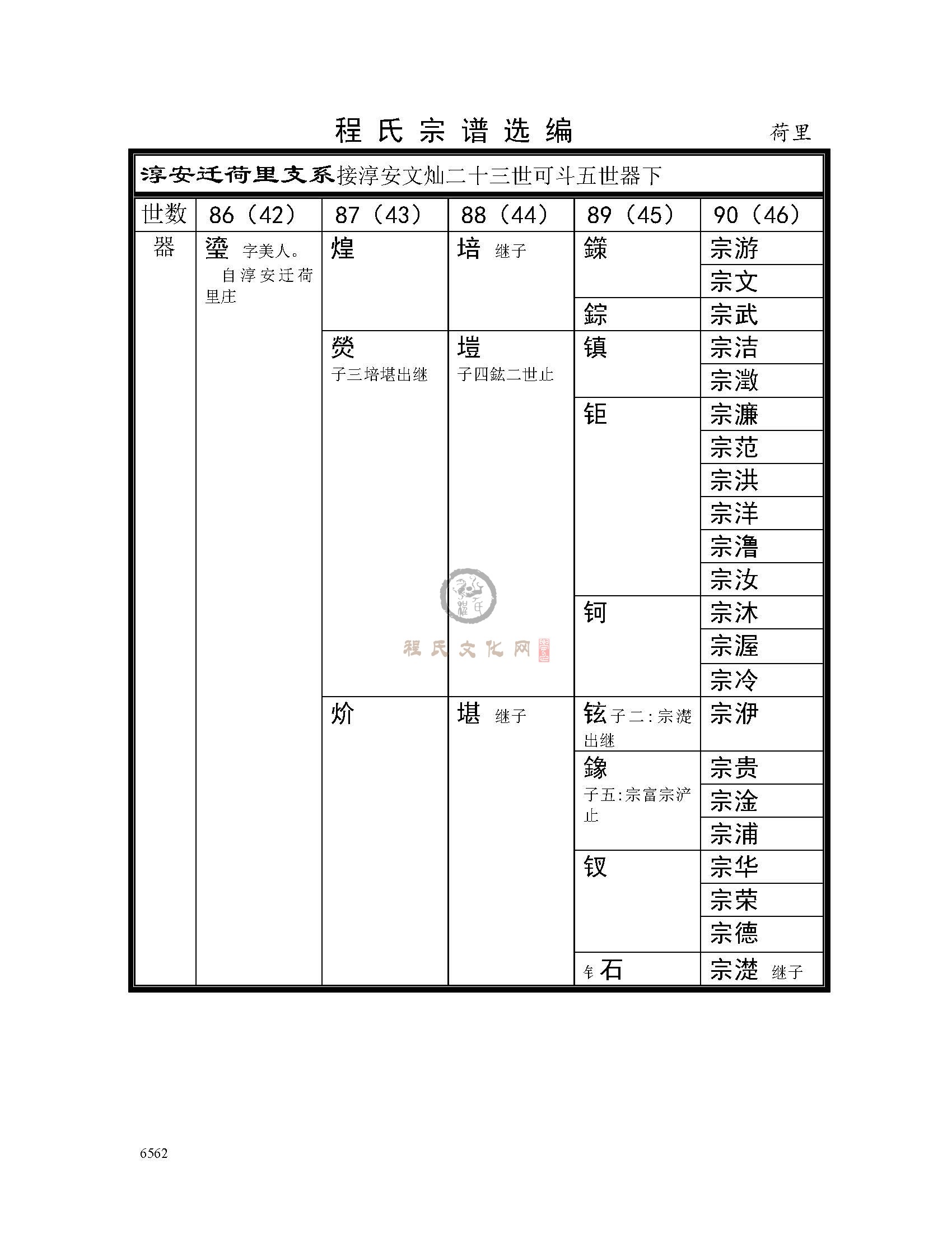 荷里支系 (1).jpg