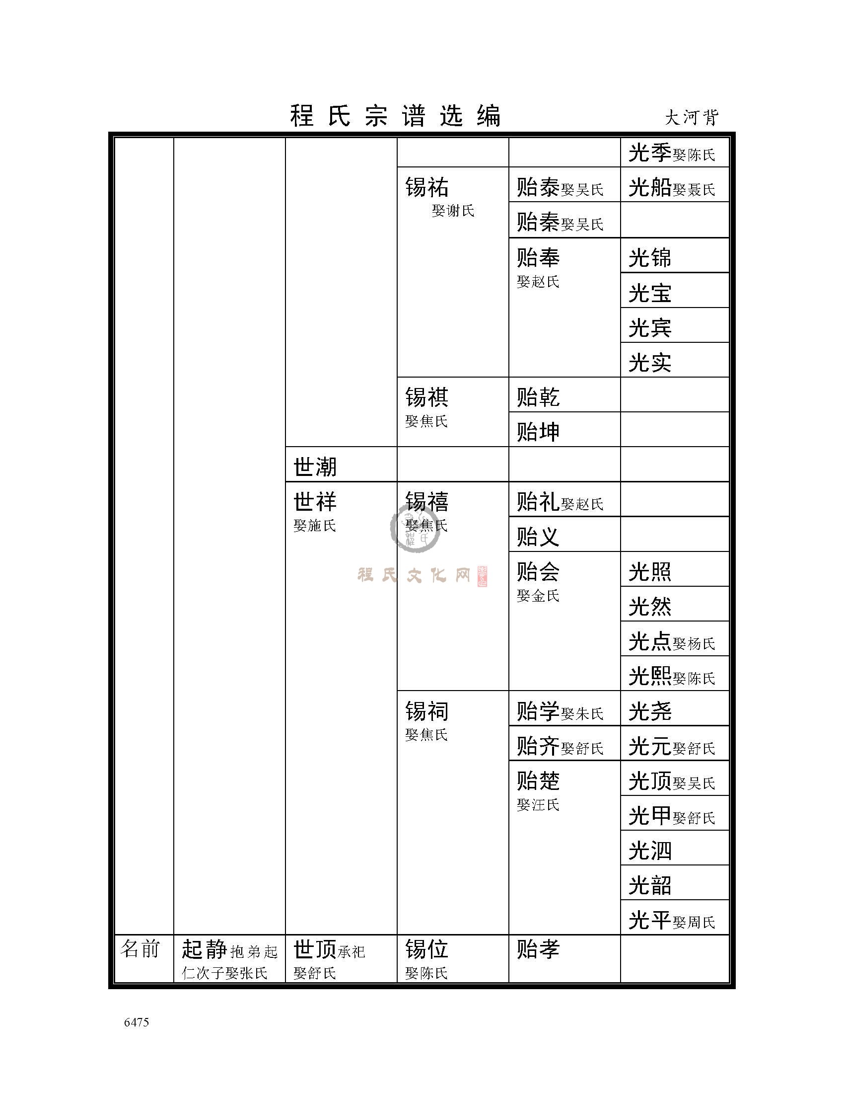 大河背支系 (17).jpg