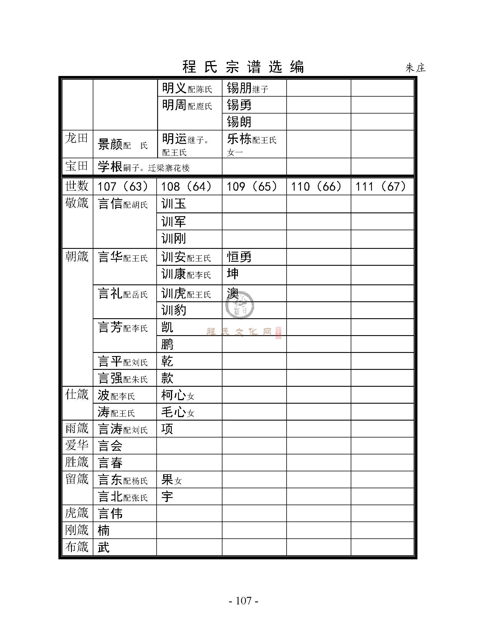 河楼张圩朱庄支系 (10).jpg