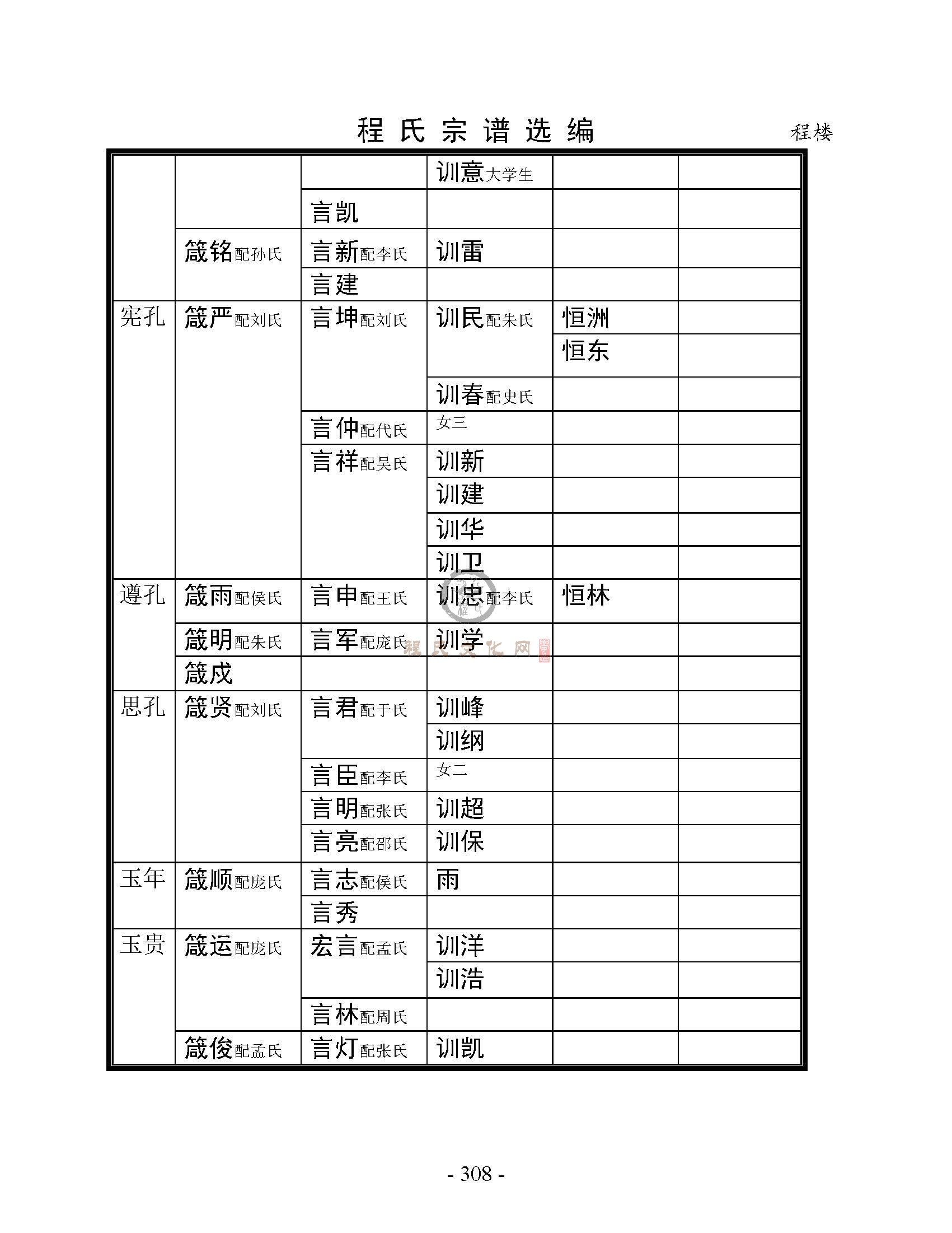 砀山程楼支系 (19).jpg